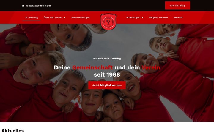 Screenshot of scdeining.de
