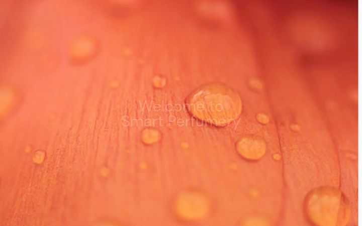 scentmate.com