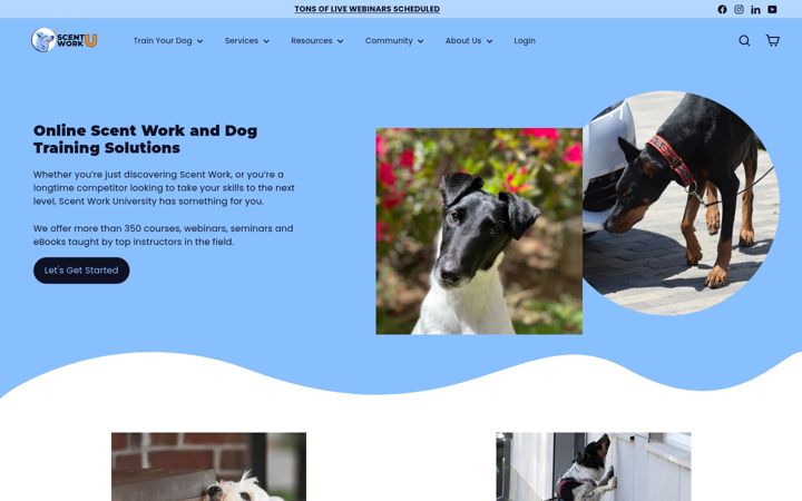 Screenshot of scentworku.com