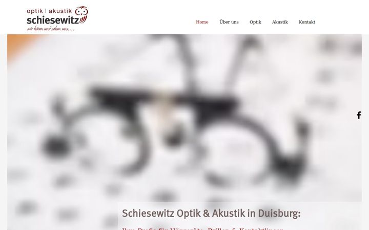 schiesewitz-optik-akustik.de