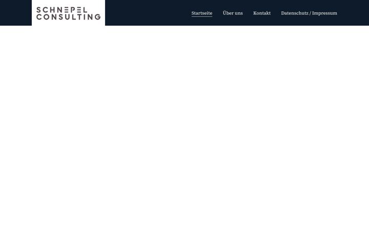 Ekraanipilt saidist schnepel-consulting.de