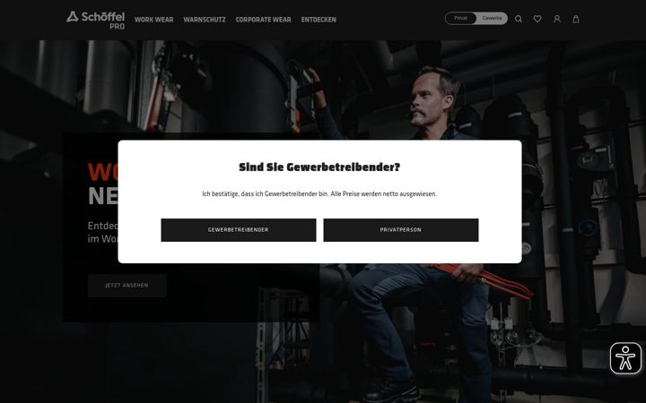 Screenshot of schoeffel-pro.com