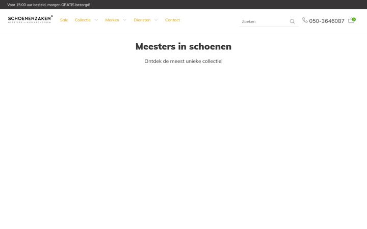 Screenshot of schoenen-zaken.nl