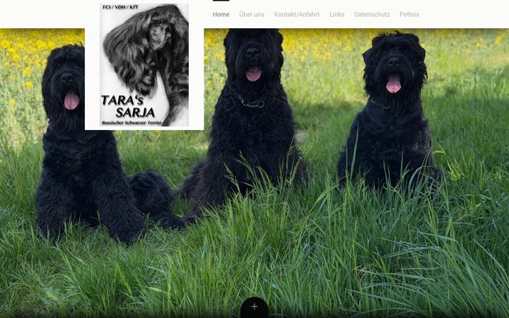 Screenshot του schwarzer-russischer-terrier.de