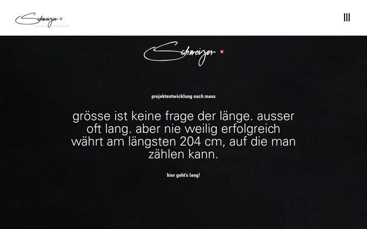 Skjámynd af schweizerprojektentwickler.ch