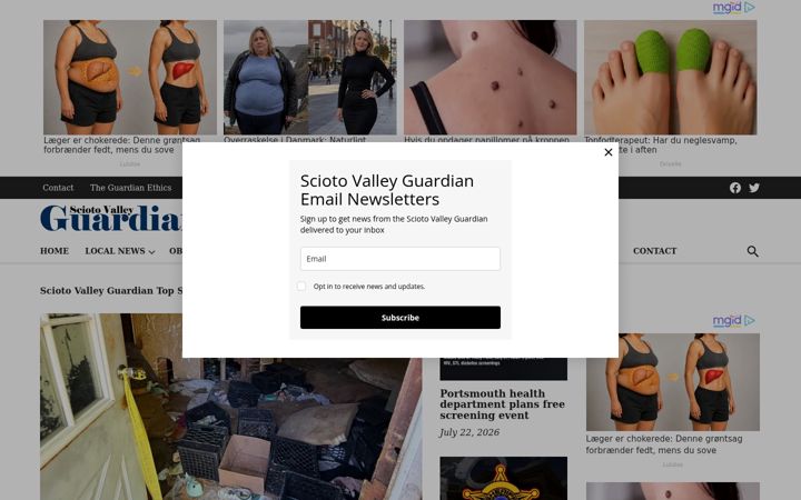 Captura de pantalla de sciotovalleyguardian.com