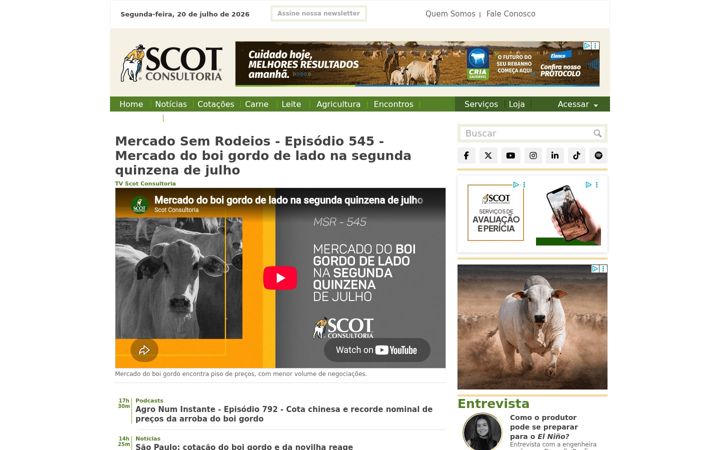 Screenshot of scotconsultoria.com.br