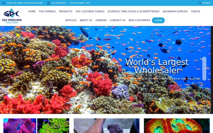 Screenshot of seadwelling.com