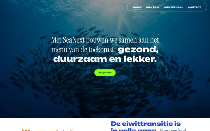 Screenshot of seanext.nl