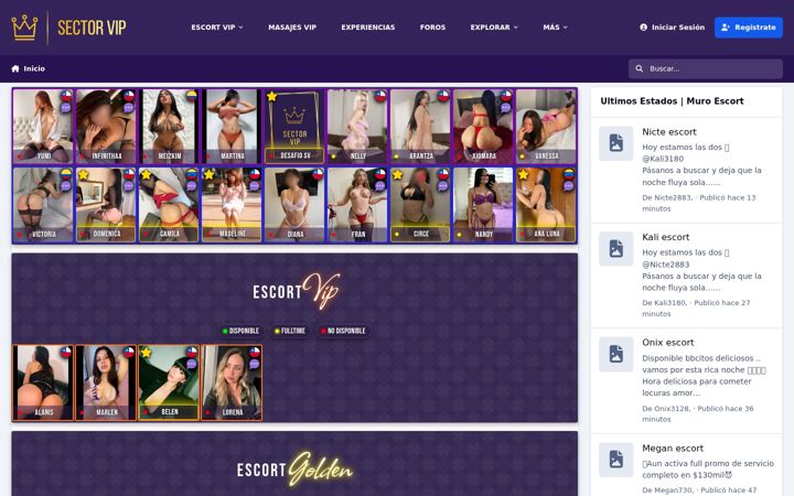 Screenshot of sectorvip.cl