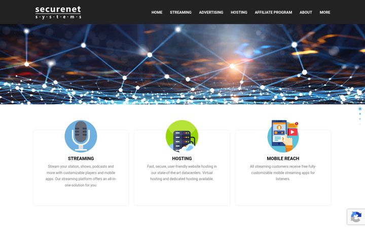 Screenshot ta' securenetsystems.net
