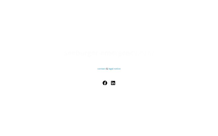 Screenshot of seeburger-emergency.com