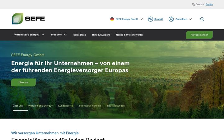 Screenshot of sefe-energy.eu