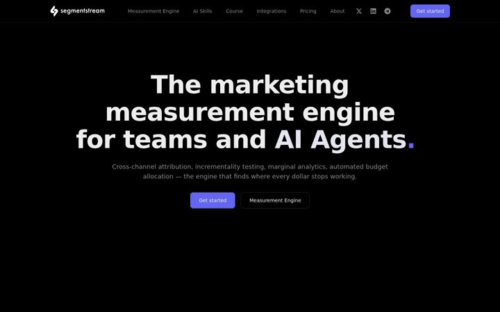 Screenshot of segmentstream.com