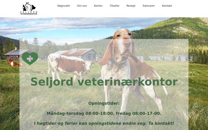 Screenshot stránky seljordvet.no