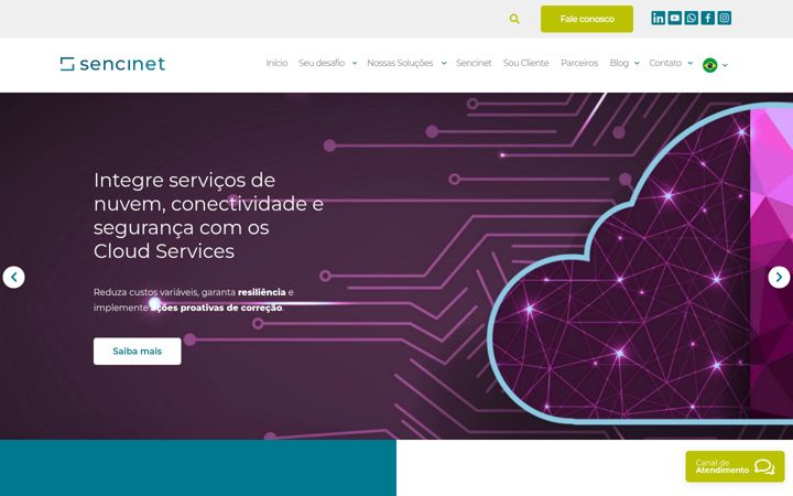 Screenshot of sencinet.com.co