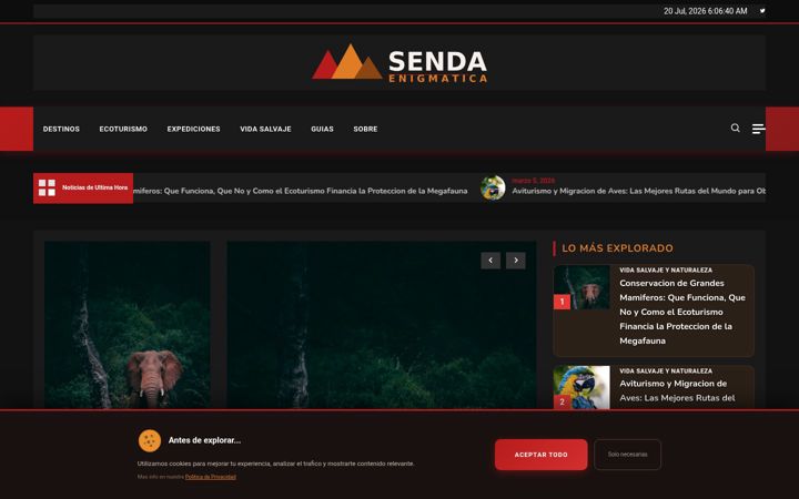 Zrzut ekranu sendaenigmatica.org