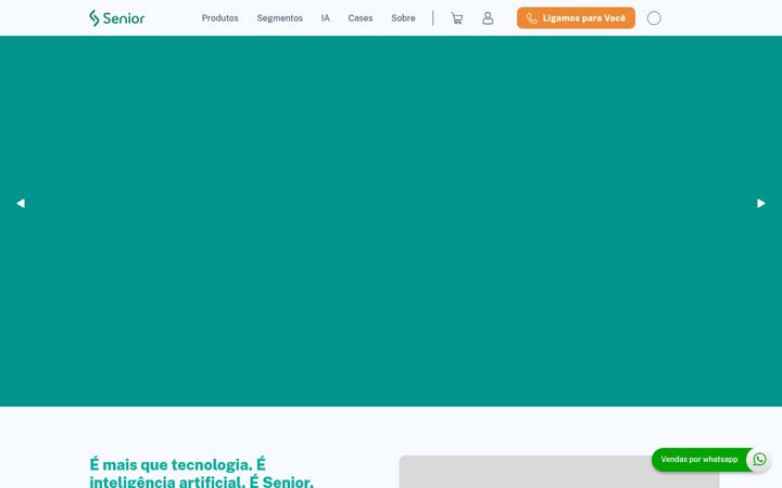 Zrzut ekranu senior.com.br