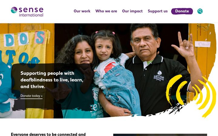 Screenshot of senseinternational.org.uk
