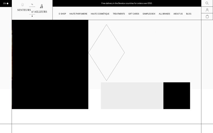 Screenshot of senteursdailleurs.com