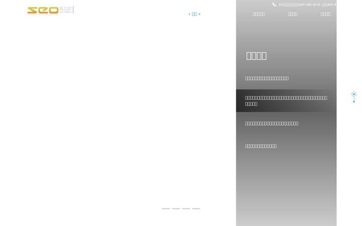 Screenshot of seo.com.cn