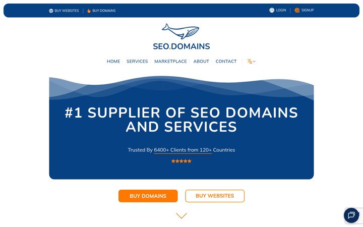 Screenshot of seo.domains