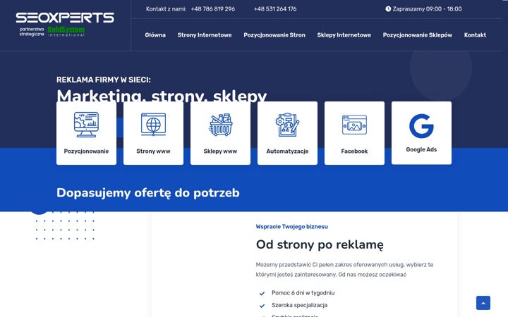 Skjámynd af seoxperts.pl