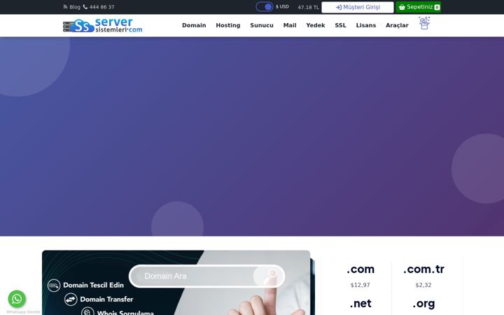 Screenshot of serversistemleri.com