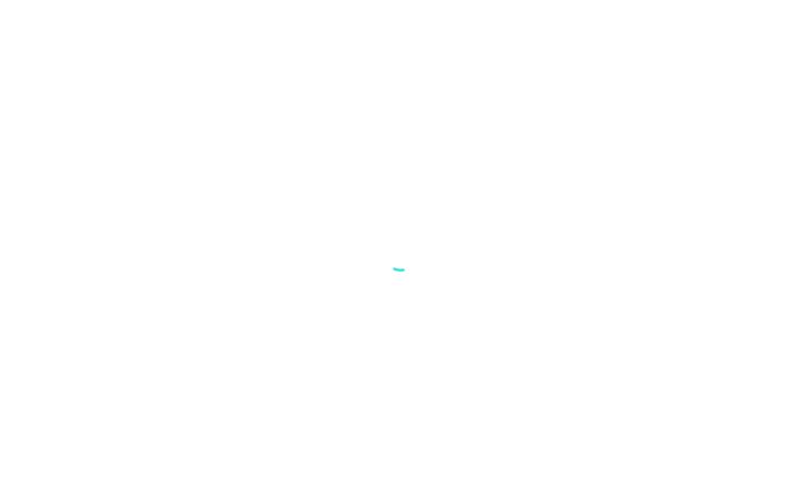 Screenshot von servicepipe.ru