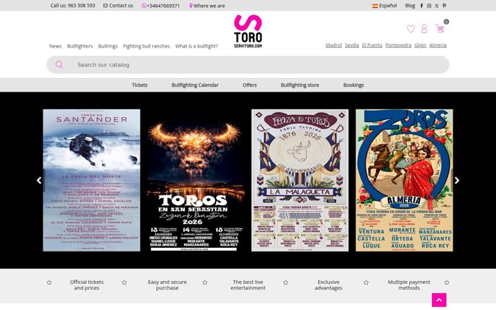 Screenshot of servitoro.com