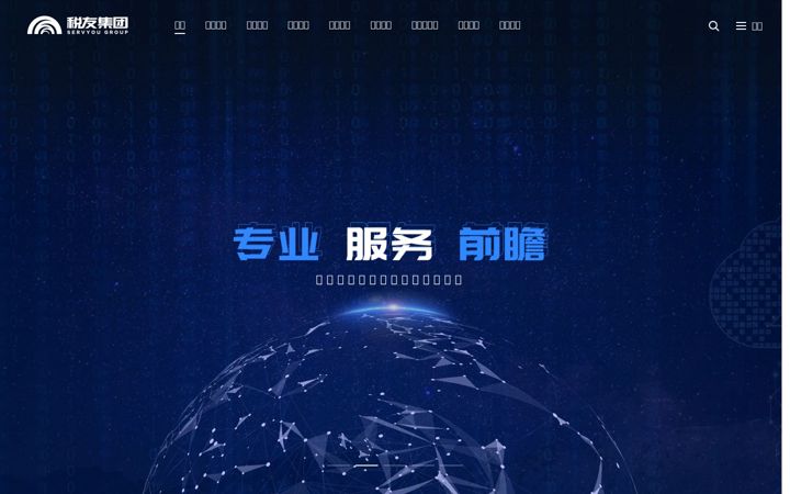Screenshot of servyou.com.cn