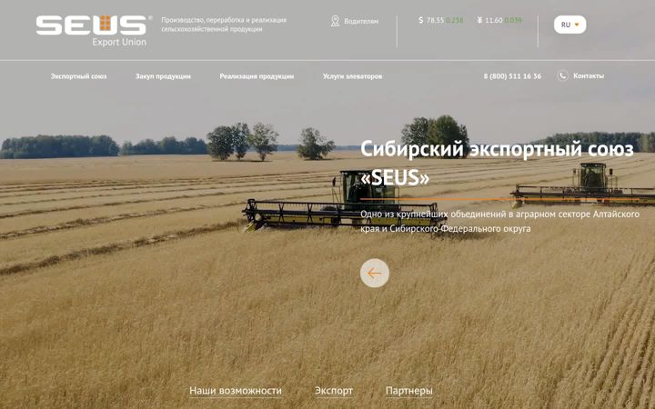 Screenshot of seus.ru