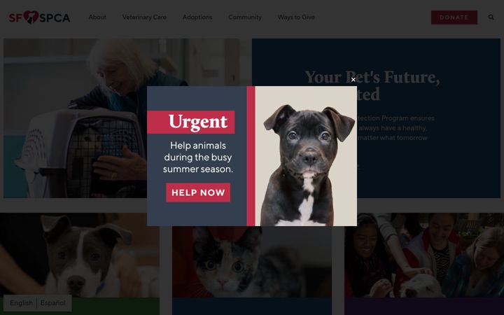 Screenshot van sfspca.org