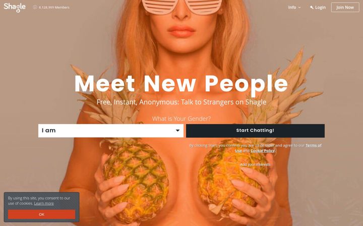 Screenshot of shagle.com