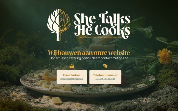 Screenshot stránky shetalkshecooks.nl
