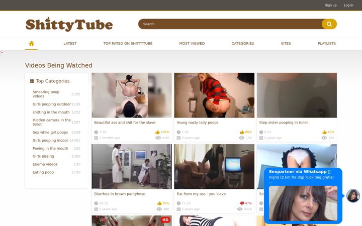 Screenshot of shittytube.com