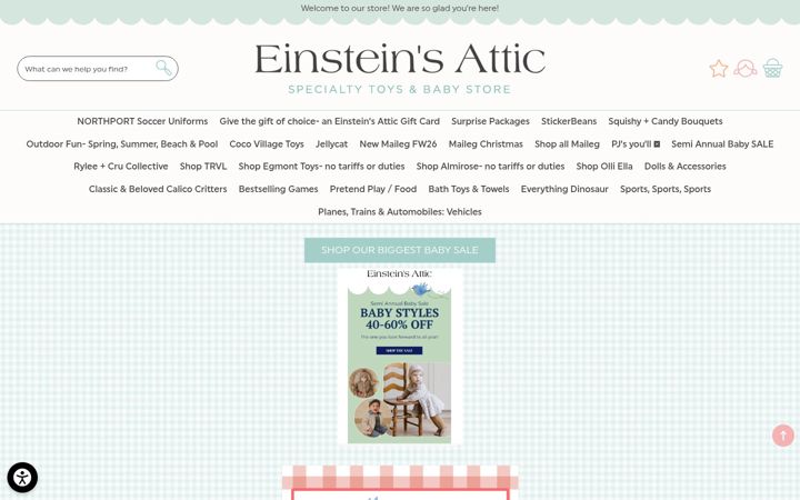 Screenshot of shopeinsteinsattic.com