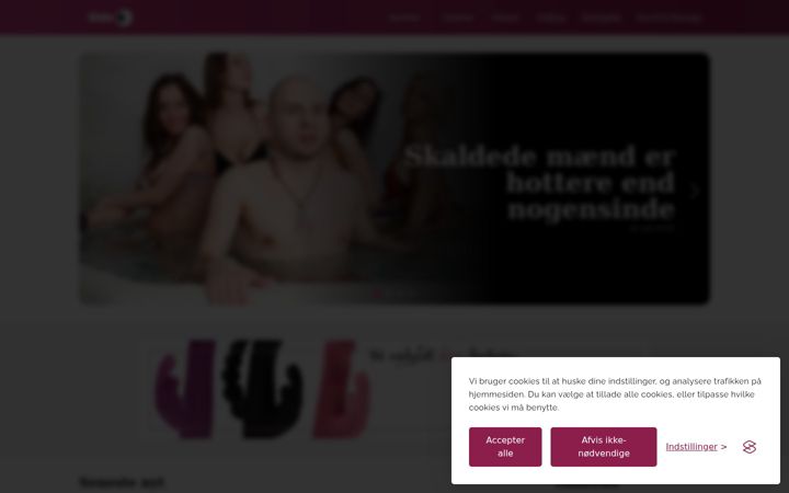 Screenshot of side6.dk