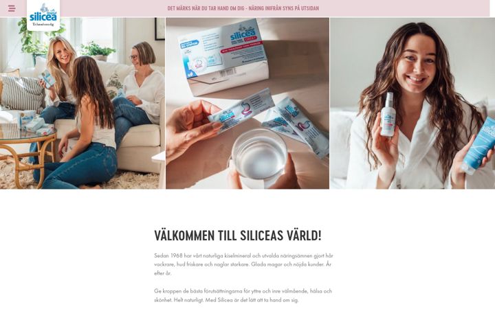 Screenshot von silicea.se