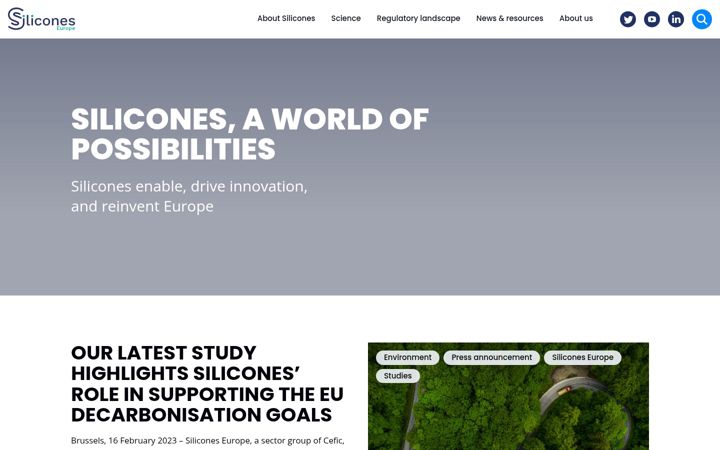 Screenshot of silicones.eu