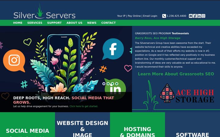 Screenshot of silverservers.com