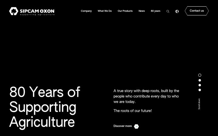 Captura de ecrã de sipcam-oxon.com