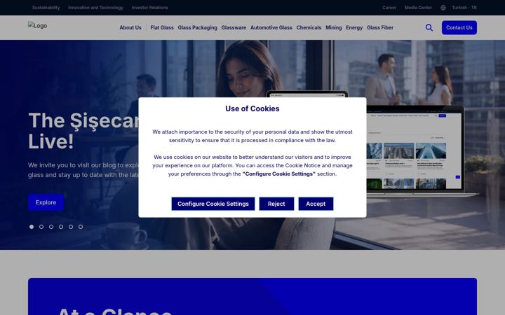 Screenshot of sisecam.com