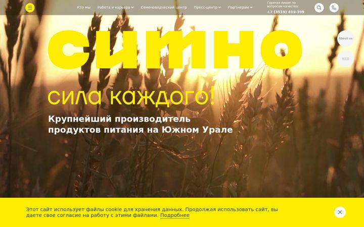 Screenshot of sitno.ru