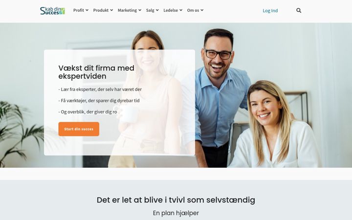 Posnetek zaslona skabdinsucces.dk