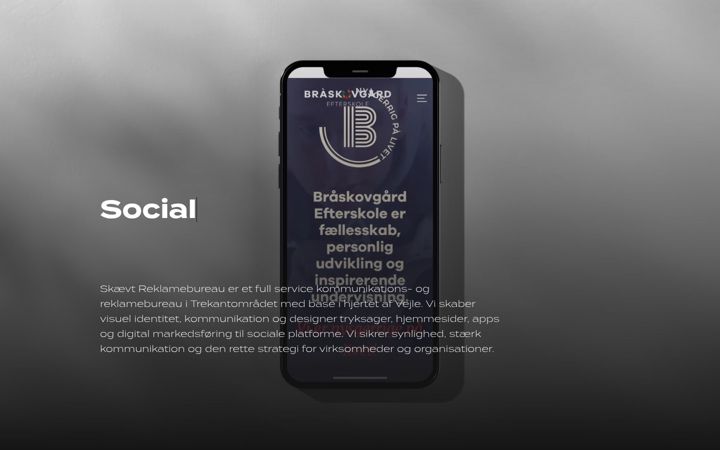 Screenshot of skaevt.com