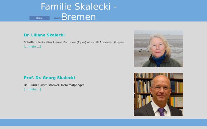 Ekraanipilt saidist skalecki.info