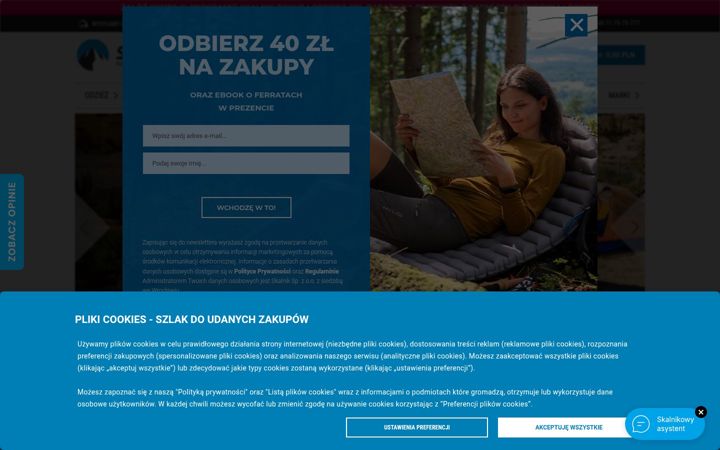 Screenshot of skalnik.pl