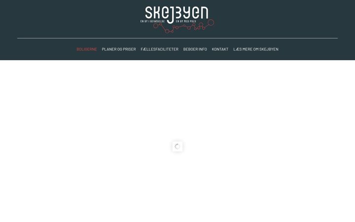 Posnetek zaslona skejbyenk11.dk