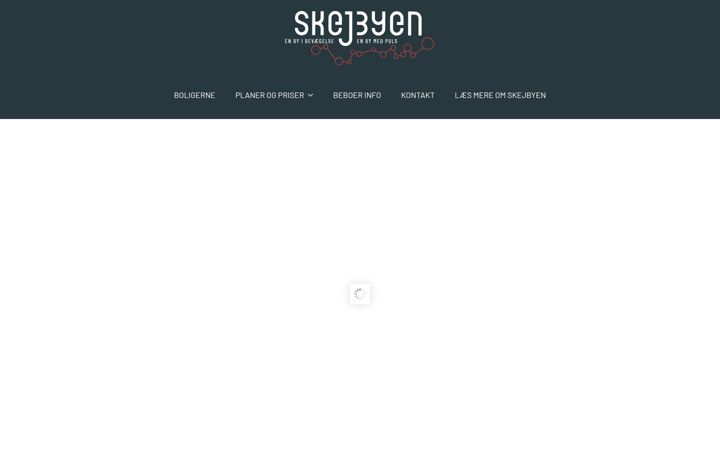 Snímek obrazovky skejbyenk6.dk